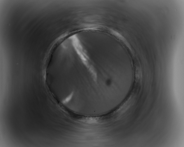 X0000087531411200705251650