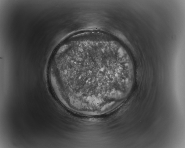 X0000087531412200705251650
