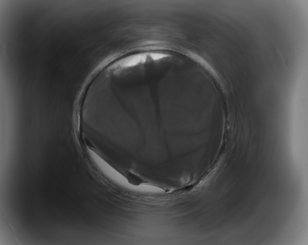 X0000087531413200705251650