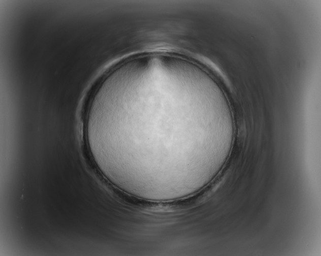 X0000087531414200705251650