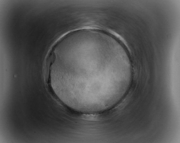 X0000087531415200705251650