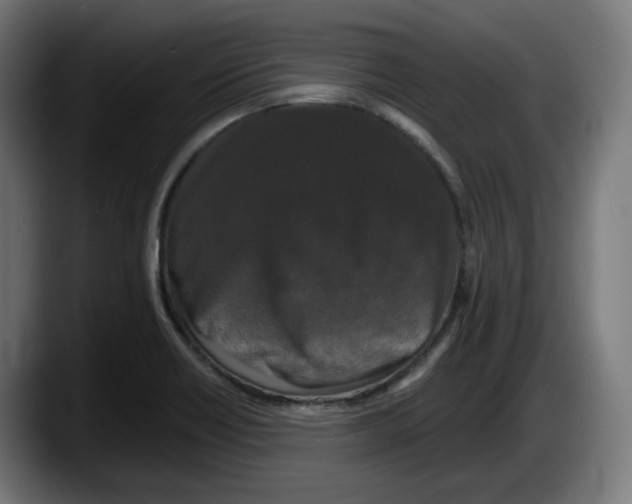 X0000087531418200705251650