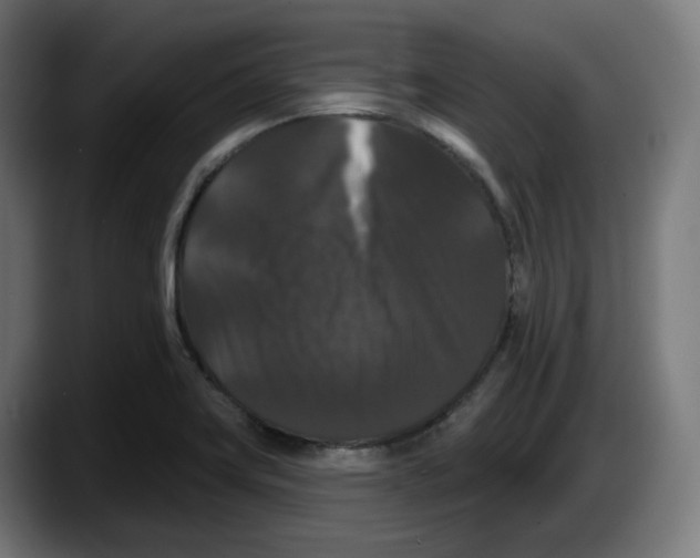 X0000087531419200705251650