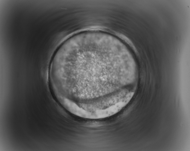 X0000087531420200705251650