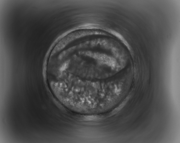 X0000087531421200705251650