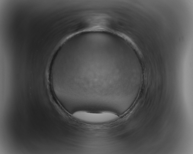 X0000087531422200705251650