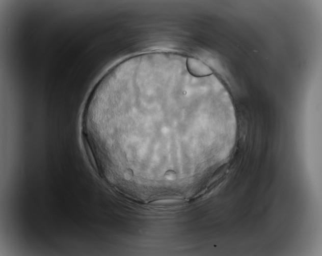 X0000087531423200705251650