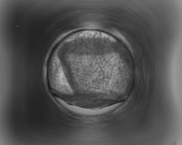 X0000087531424200705251650