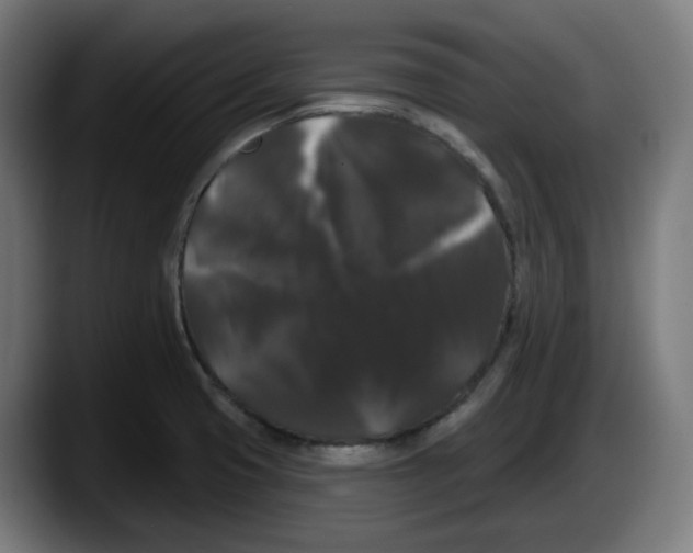 X0000087531425200705251650