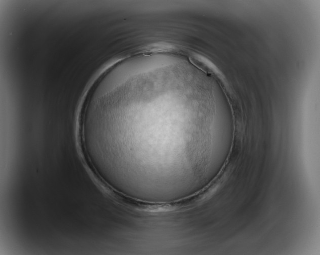X0000087531426200705251650