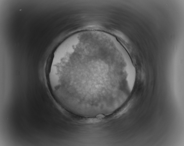 X0000087531430200705251650