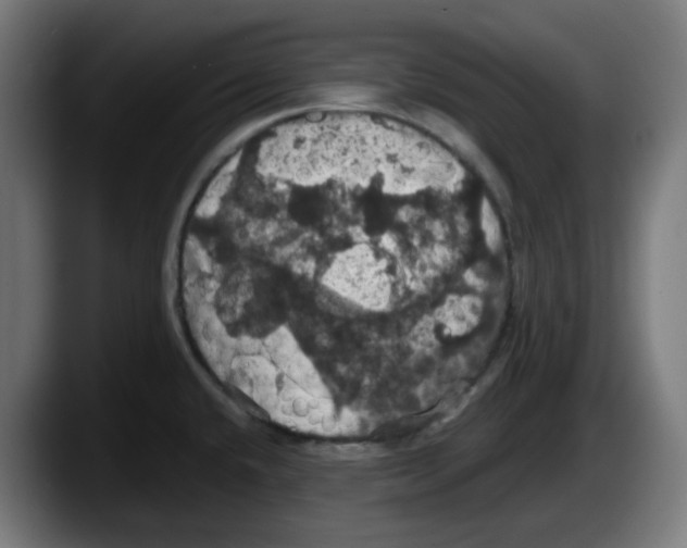 X0000087531432200705251650