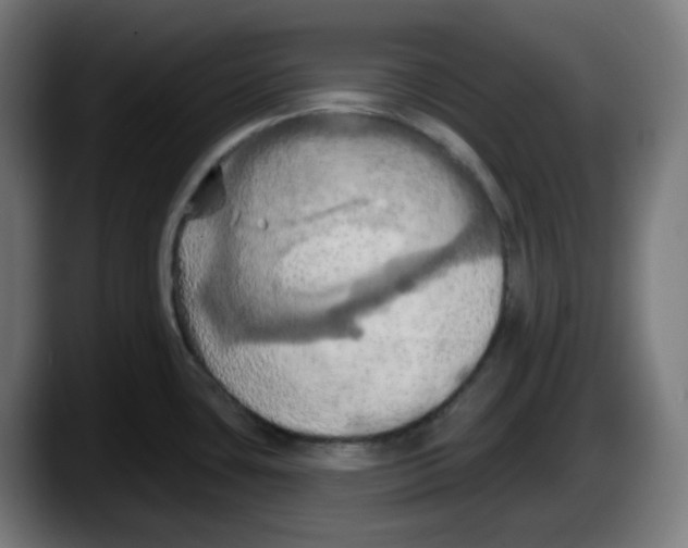 X0000087531435200705251650
