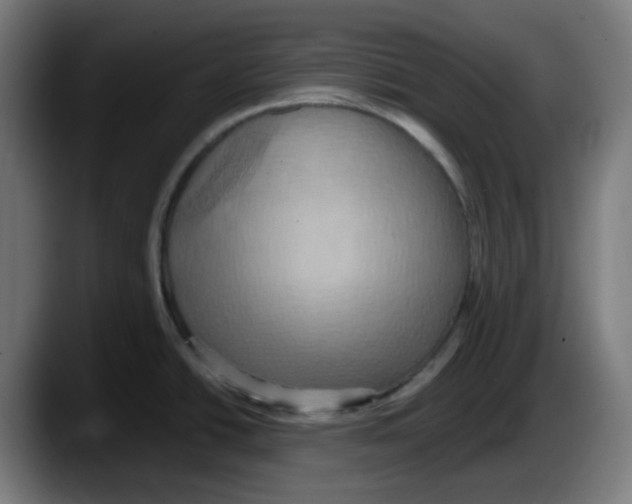 X0000087531438200705251650