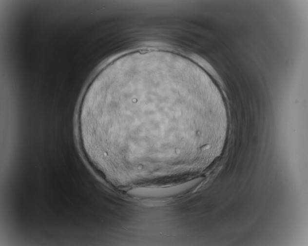 X0000087531440200705251650