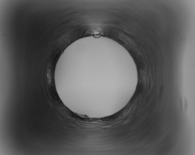 X0000087531442200705251650