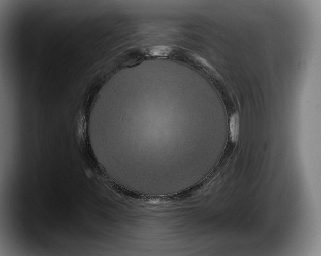 X0000087531443200705251650