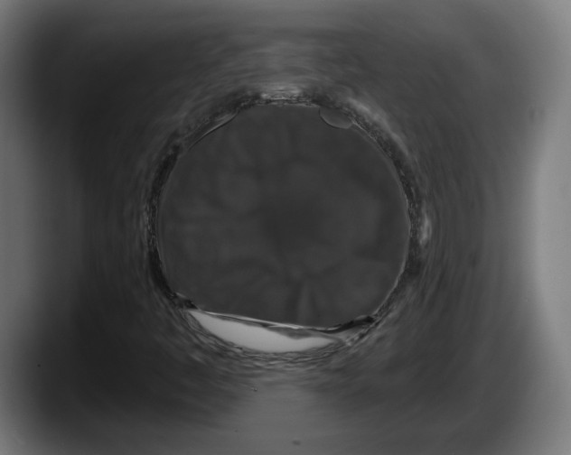 X0000087531445200705251650