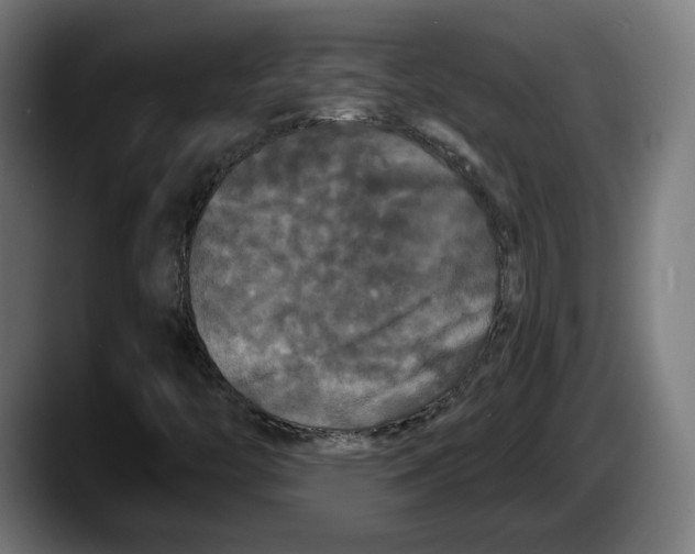 X0000087531446200705251650
