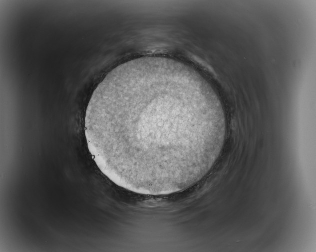 X0000087531447200705251650