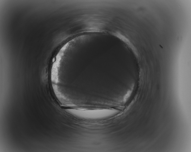 X0000087531450200705251650