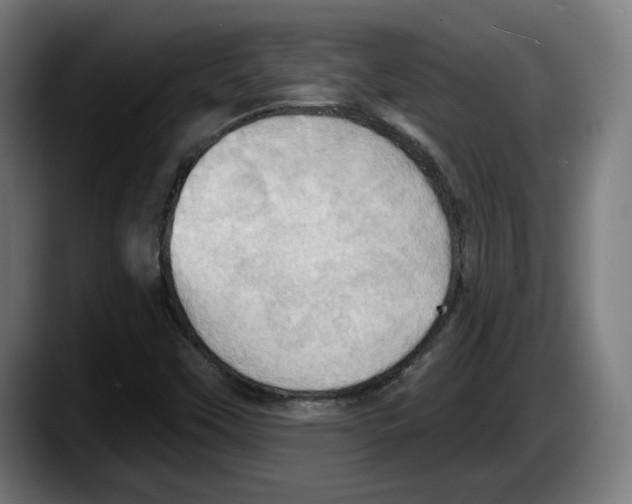 X0000087531451200705251650