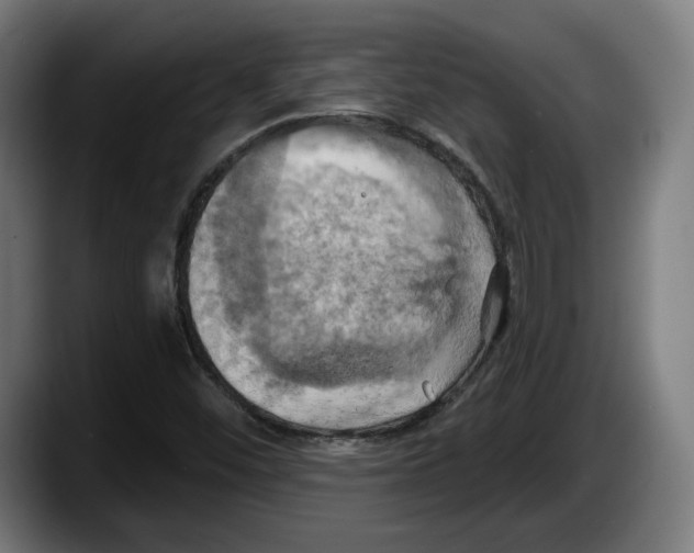X0000087531452200705251650