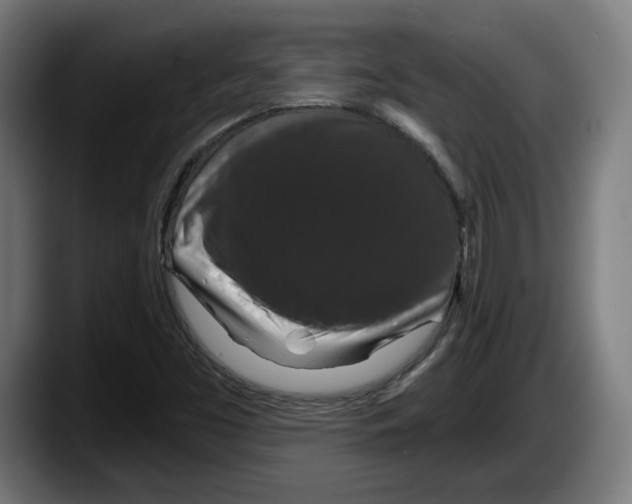 X0000087531453200705251650
