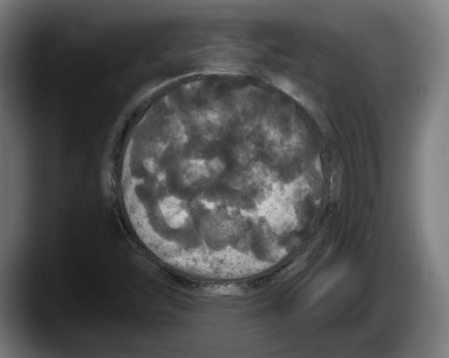 X0000087531454200705251650