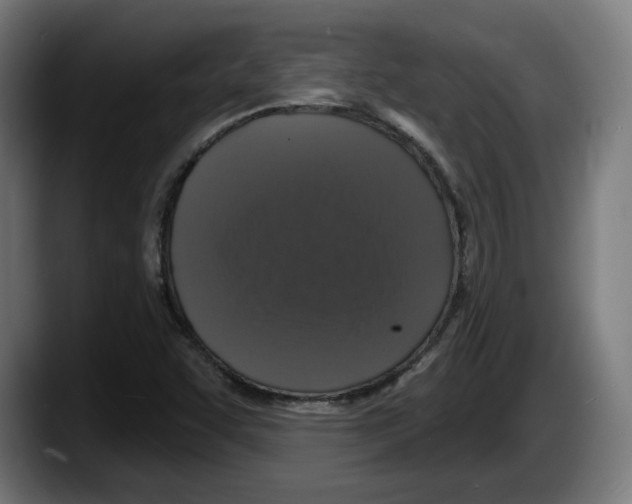 X0000087531455200705251650