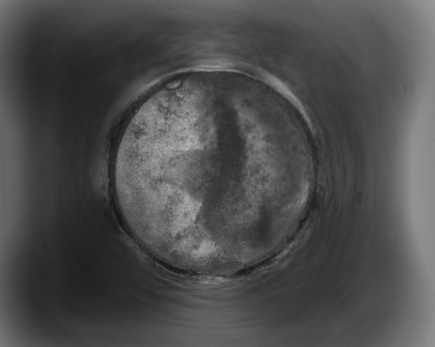 X0000087531456200705251650