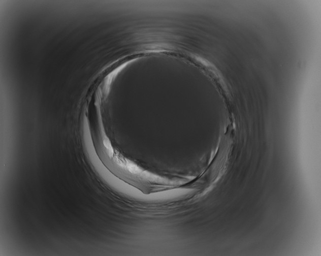 X0000087531457200705251650