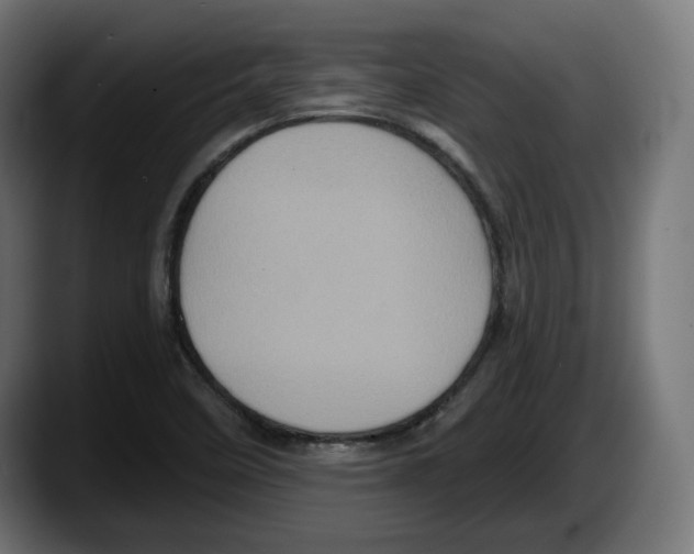 X0000087531458200705251650