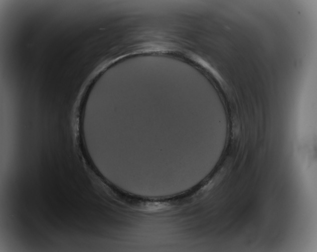 X0000087531459200705251650