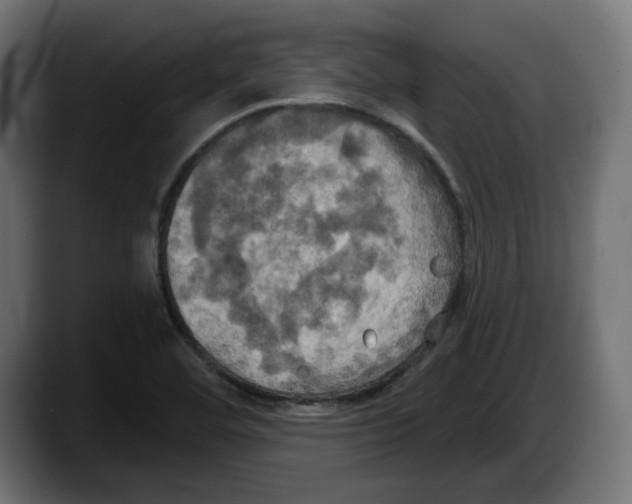 X0000087531460200705251650