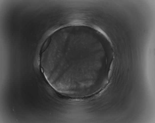 X0000087531461200705251649