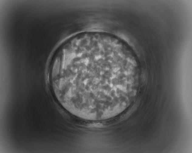 X0000087531462200705251649
