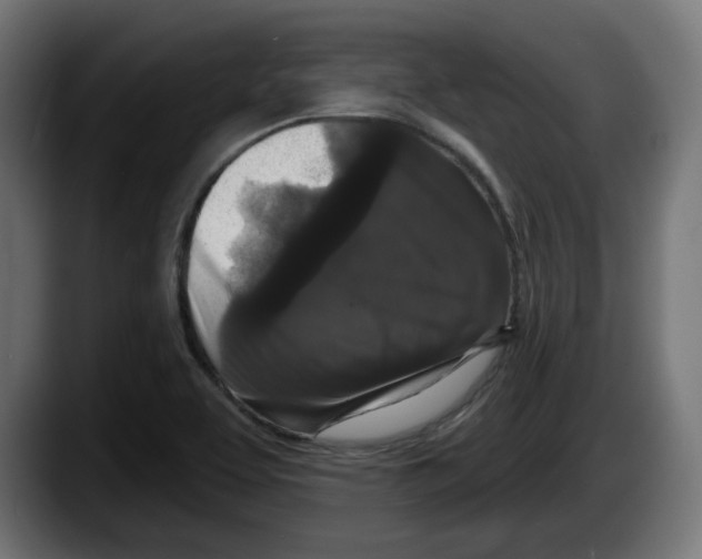 X0000087531463200705251649