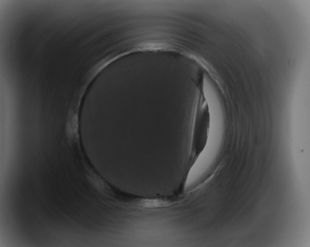X0000087531465200705251649