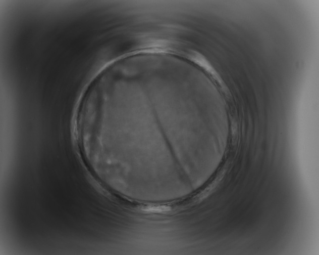 X0000087531466200705251649