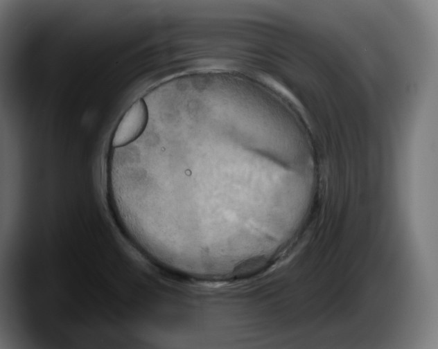 X0000087531467200705251649
