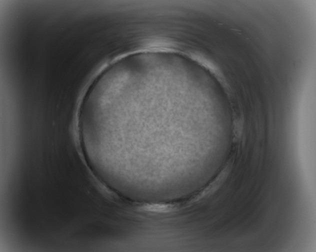 X0000087531470200705251649