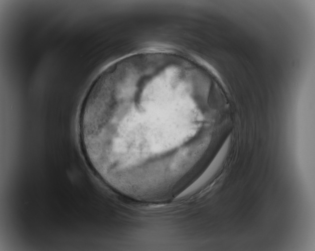 X0000087531471200705251649