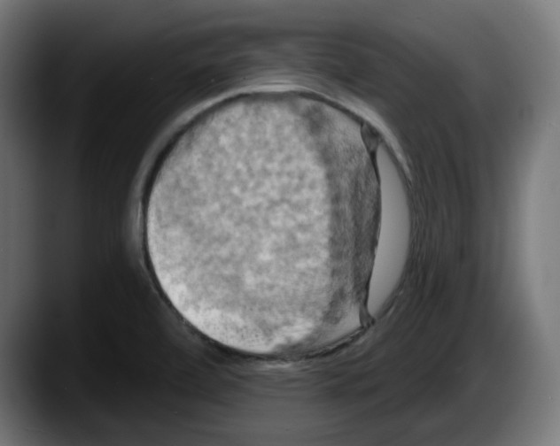 X0000087531472200705251649