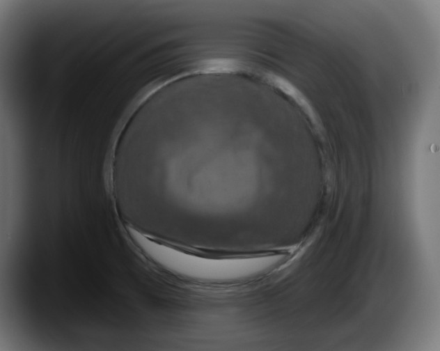X0000087531473200705251649