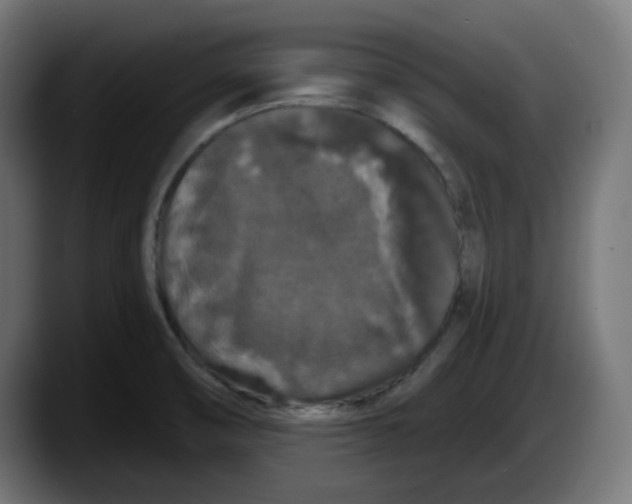 X0000087531474200705251649