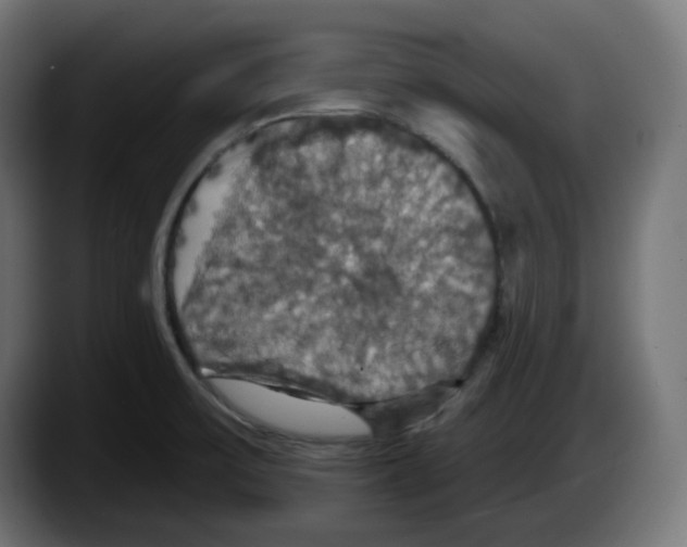 X0000087531475200705251649