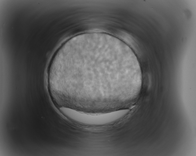 X0000087531476200705251649