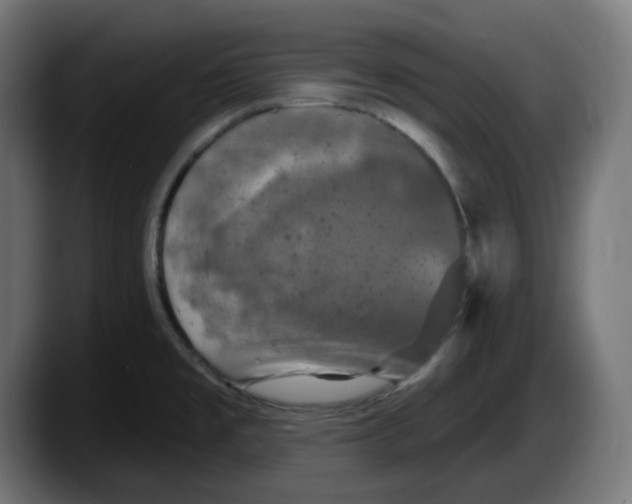 X0000087531477200705251649
