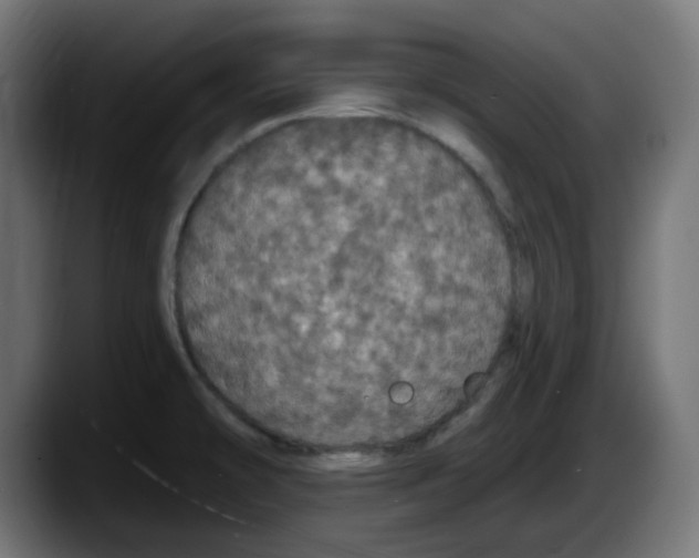 X0000087531478200705251649